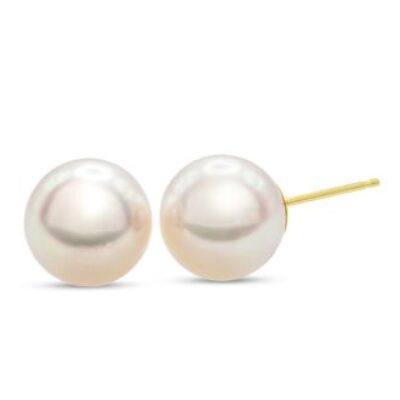 Pearl Stud Earrings | 8MM AA Japanese Akoya Pearl Earrings In 14 Karat Yellow Gold